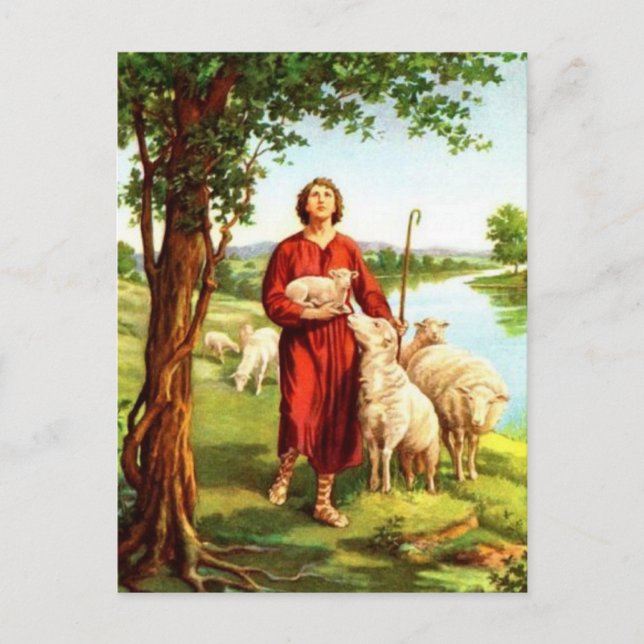 Carte Postale David Le Berger (Devant)