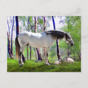 Carte Postale "Daybreak"