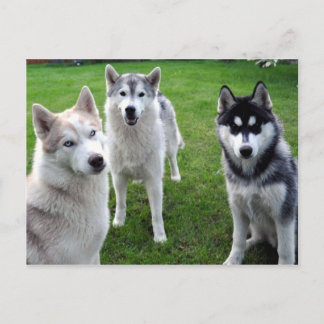 Carte Postale de