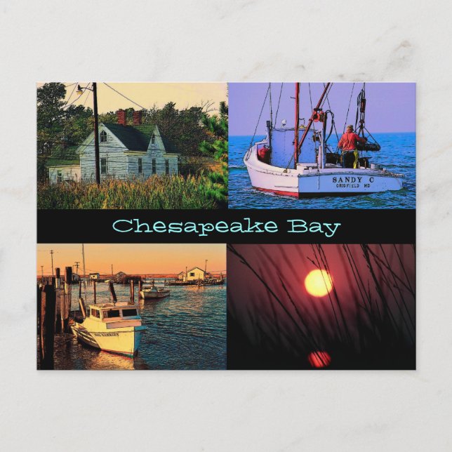 Carte postale de baie de chesapeake (Devant)