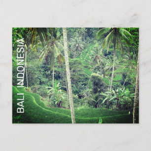 Carte postale de Bali Indonésie