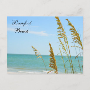 Carte postale de Barefoot Beach