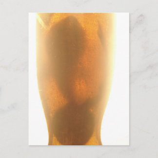 Carte postale de bébé requin