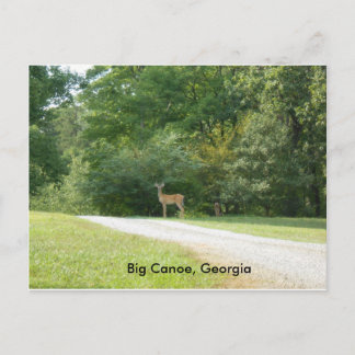 Carte postale de Big Canoe, Géorgie