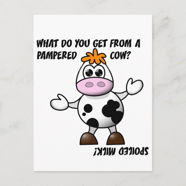 Carte postale de blague sur la vache gâtée (Devant)