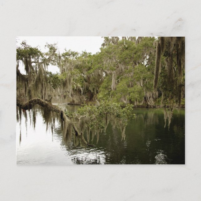 Carte postale de Blue Springs State Park (Devant)