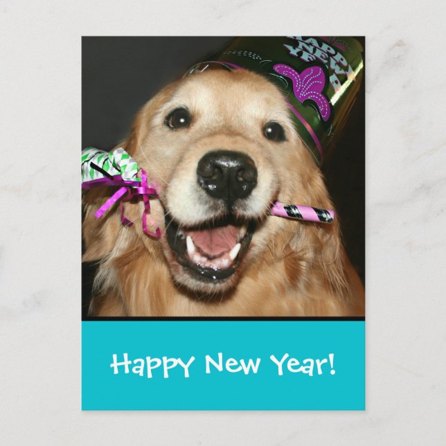 Carte postale de bonne année de golden retriever (Devant)