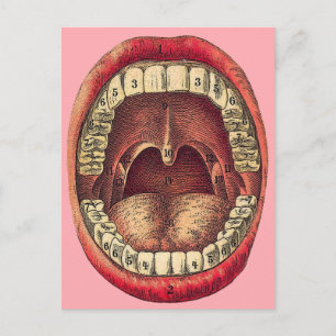 Carte postale de bouche vintage