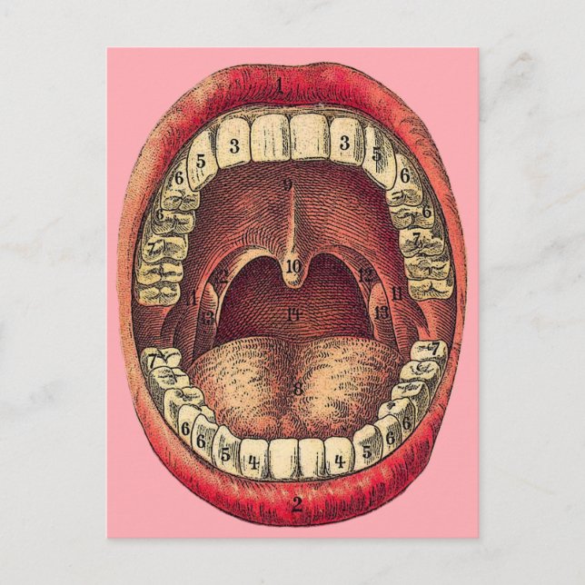 Carte postale de bouche vintage (Devant)