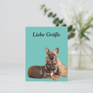 Carte postale de bouledogue français