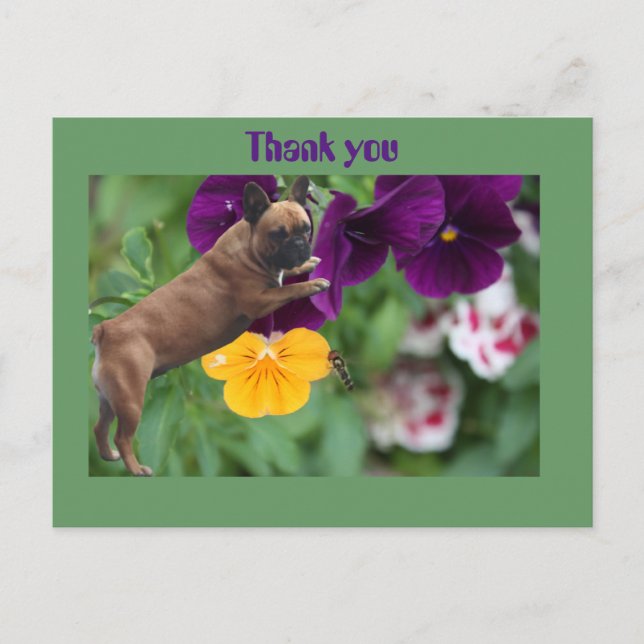 Carte postale de bouledogue français (Devant)