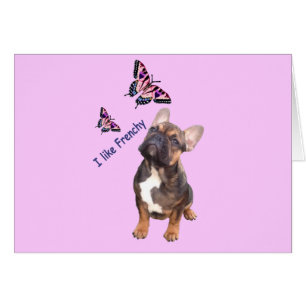 Carte postale de Bouledogue Français