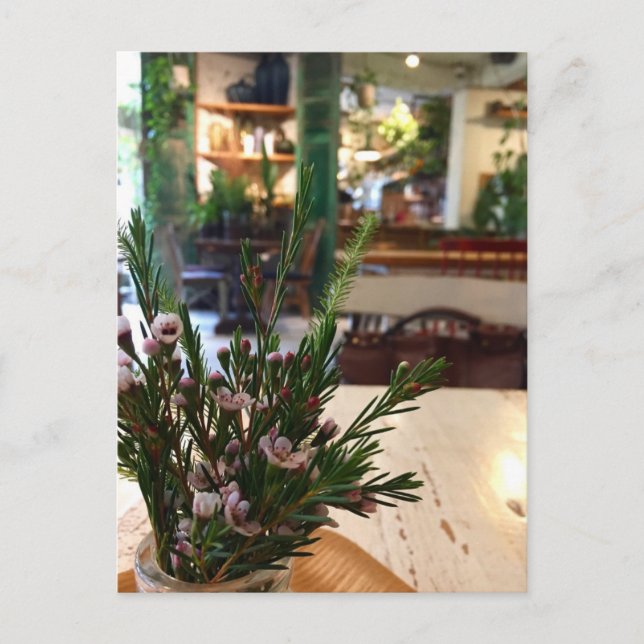 Carte postale de café coréen (Devant)