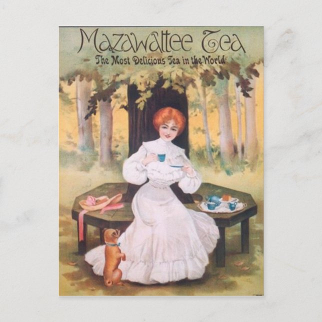 Carte postale de carlin de thé de Mazawattee (Devant)