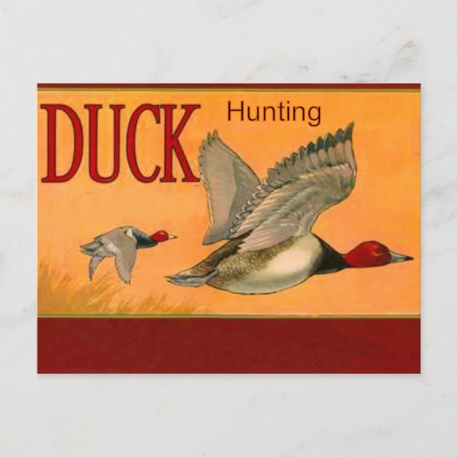Carte postale de chasse au canard (Devant)