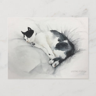 Carte postale de chat