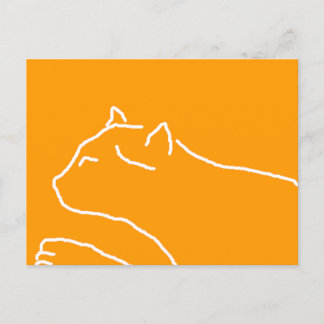 Carte postale de chat