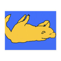 Carte postale de chat