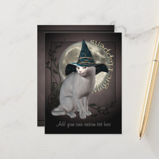 Carte postale de chat blanc magique
