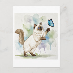 Carte postale de chat blanc mignon papillon yeux b
