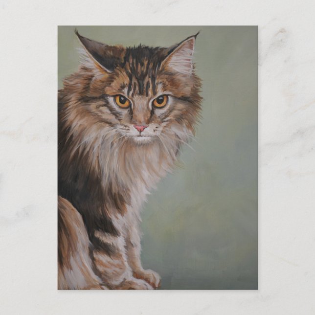 Carte postale de chat de ragondin du Maine (Devant)