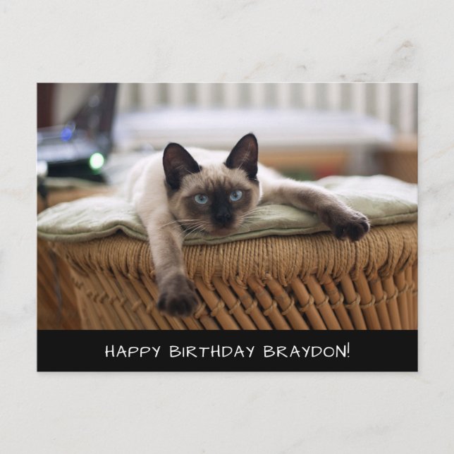 Carte postale de chat de Siamese (Devant)