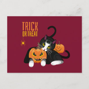 Carte postale de chat Halloween amusante 'Trick or