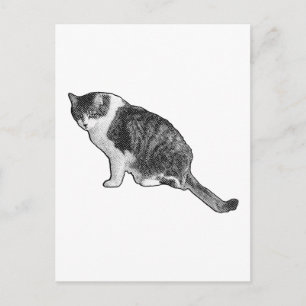 Carte postale de chat manga offrant un plaisir gra
