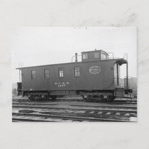 Carte postale de chat New York Central