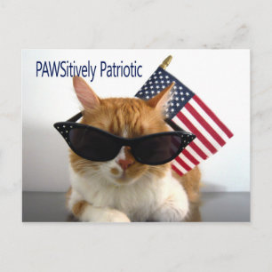 Carte postale de chat patriotique PAWSitive
