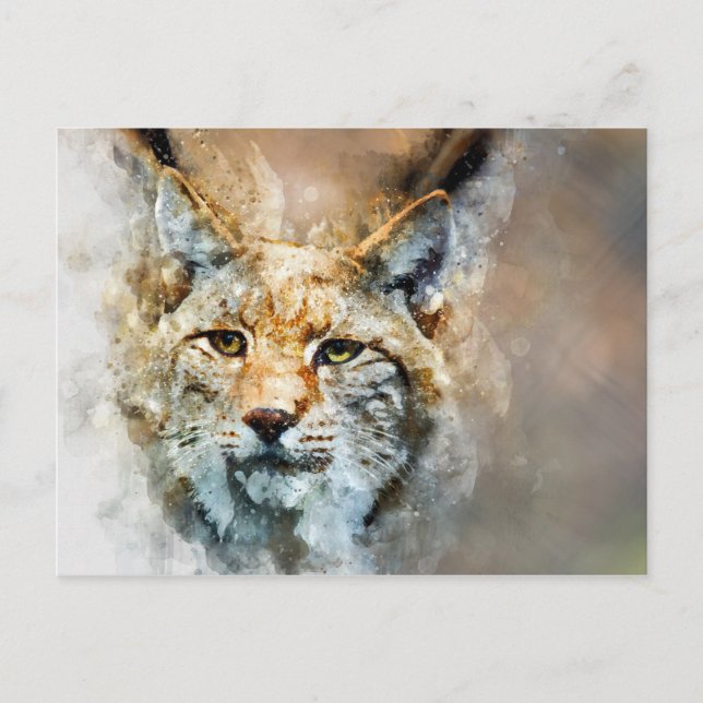 carte postale de chat sauvage (Devant)