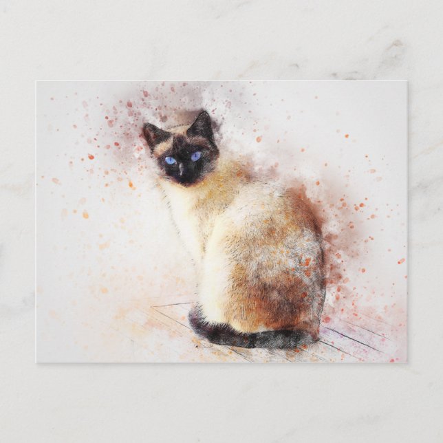carte postale de chat siamois (Devant)