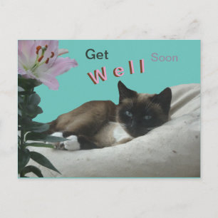 Carte postale de chat siamois de près pour un prom
