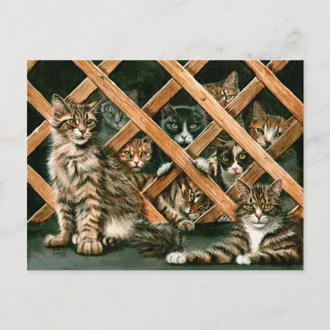 Carte postale de chats de trellis (Devant)