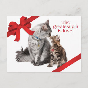 Carte postale de chats de vacances