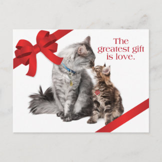 Carte postale de chats de vacances