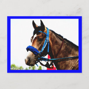 Carte postale de cheval de course