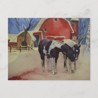 carte postale de cheval de fillies, Fargo et Sugar
