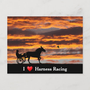Carte postale de cheval de Trot standard