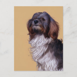Carte postale de chien chiot Havanais mignon