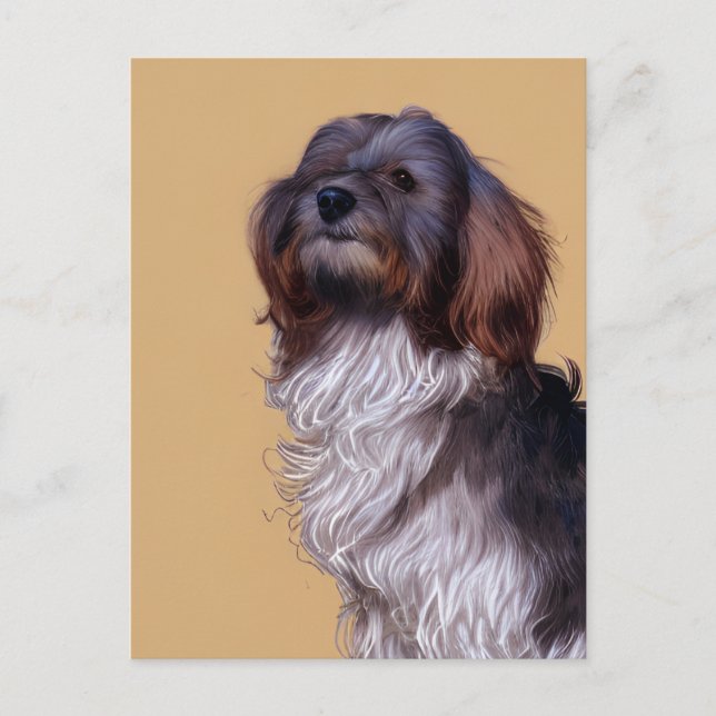 Carte postale de chien chiot Havanais mignon (Devant)