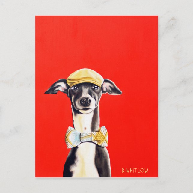 Carte postale de chien Greyhound italien - Harry (Devant)