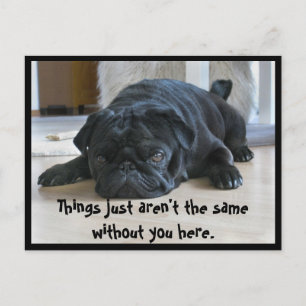 Carte postale de chiot carlin noir mignon et pares