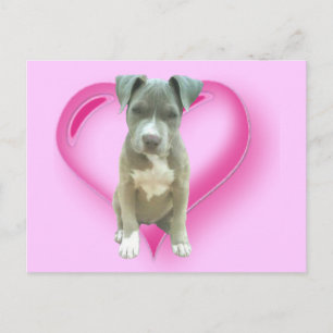 Carte postale de chiot Pitbull