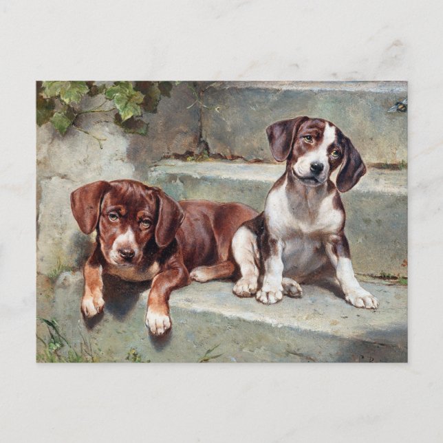 Carte postale de chiots vintage (Devant)