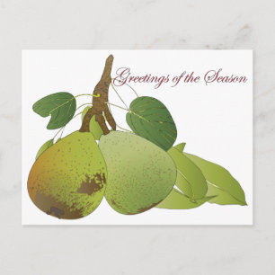 Carte postale de Christmas