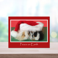 Carte postale de cobaye de Noël de Cavy