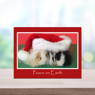 Carte postale de cobaye de Noël de Cavy
