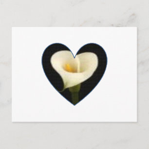 Carte postale de coeur de zantedeschia