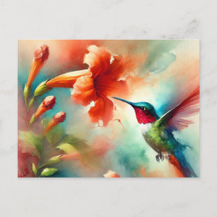 Carte postale de colibri